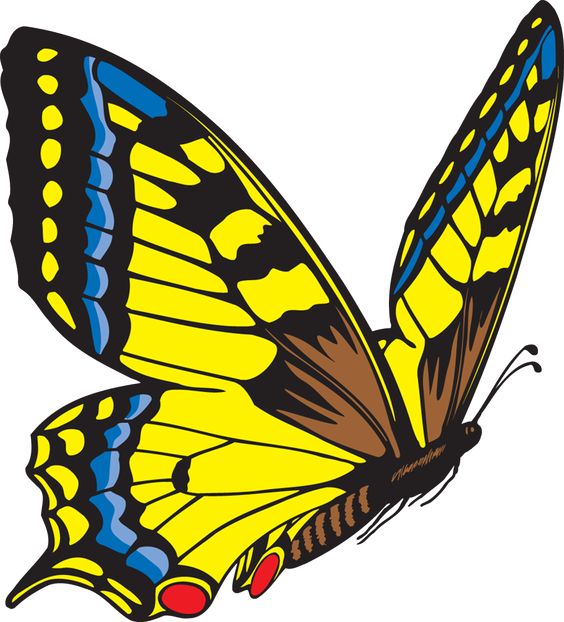 Papilio Fvrier Clipart 20 Free Cliparts Download Images On Clipground