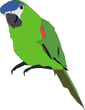 Parakeet Clipart.