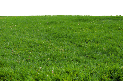 Download PARK Free PNG transparent image and clipart.