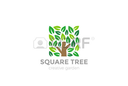 36,322 Park Plant Stock Vector Illustration And Royalty Free Park.
