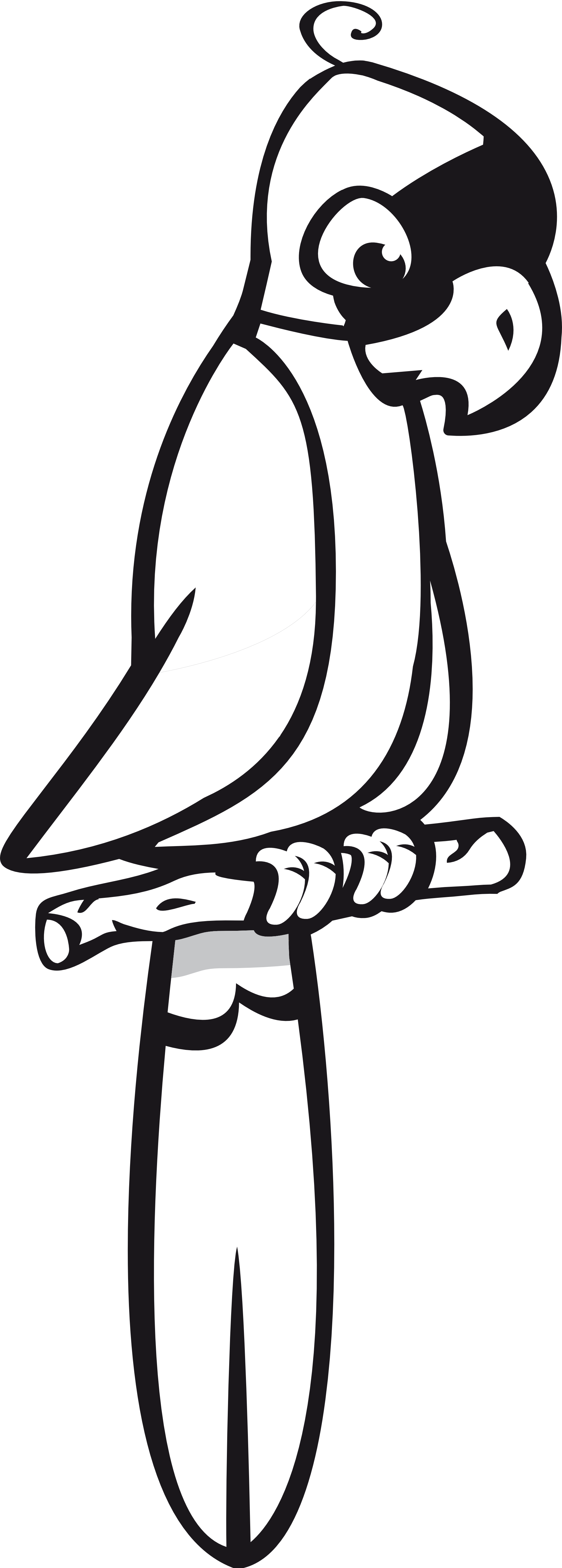 Parrot Clipart Black And White.
