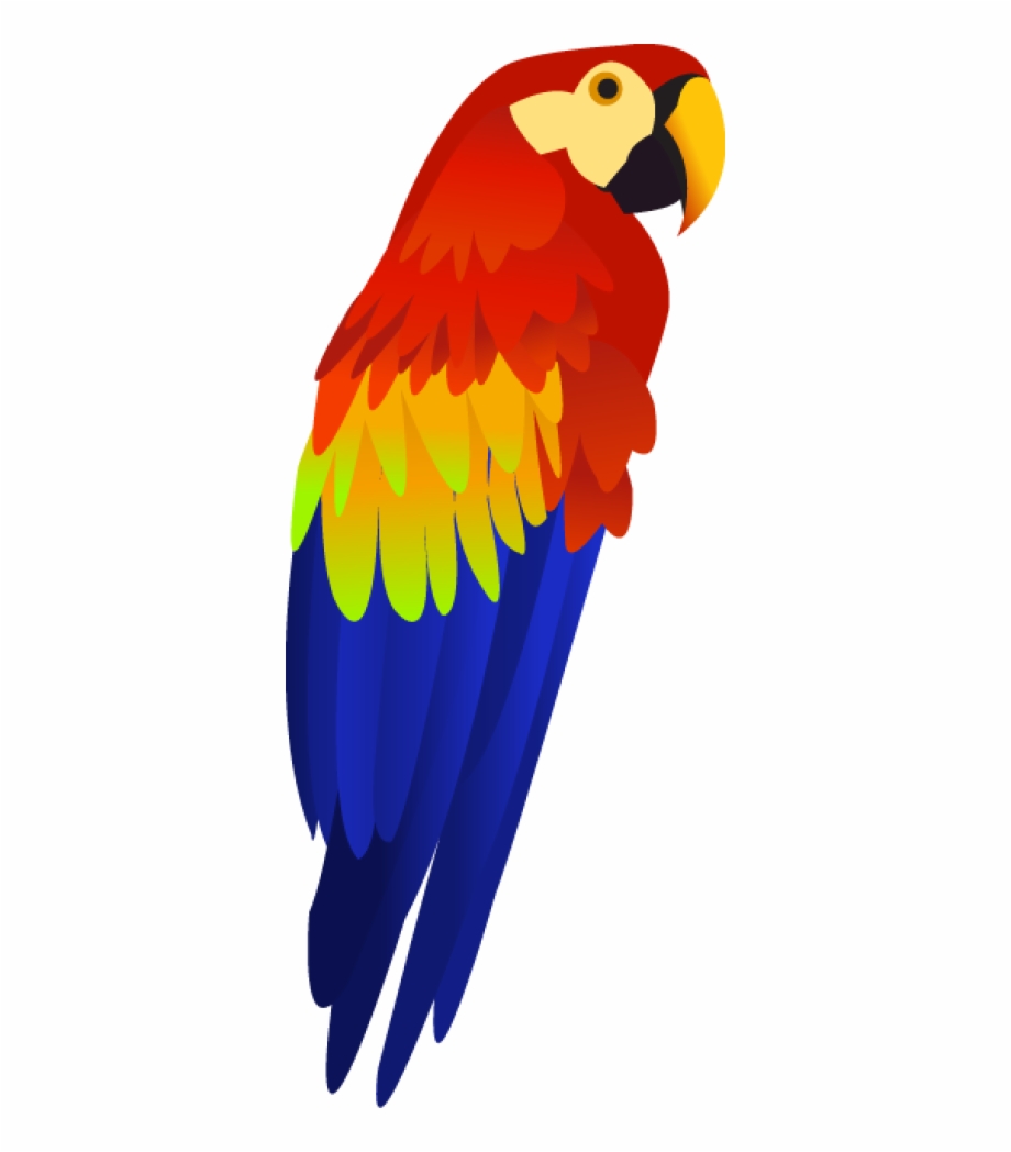 Colorful Parrot Png Images, Free Download, Download.