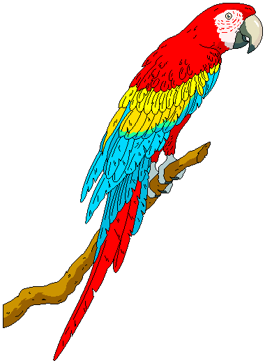 Parrot Clip Art Cartoon.