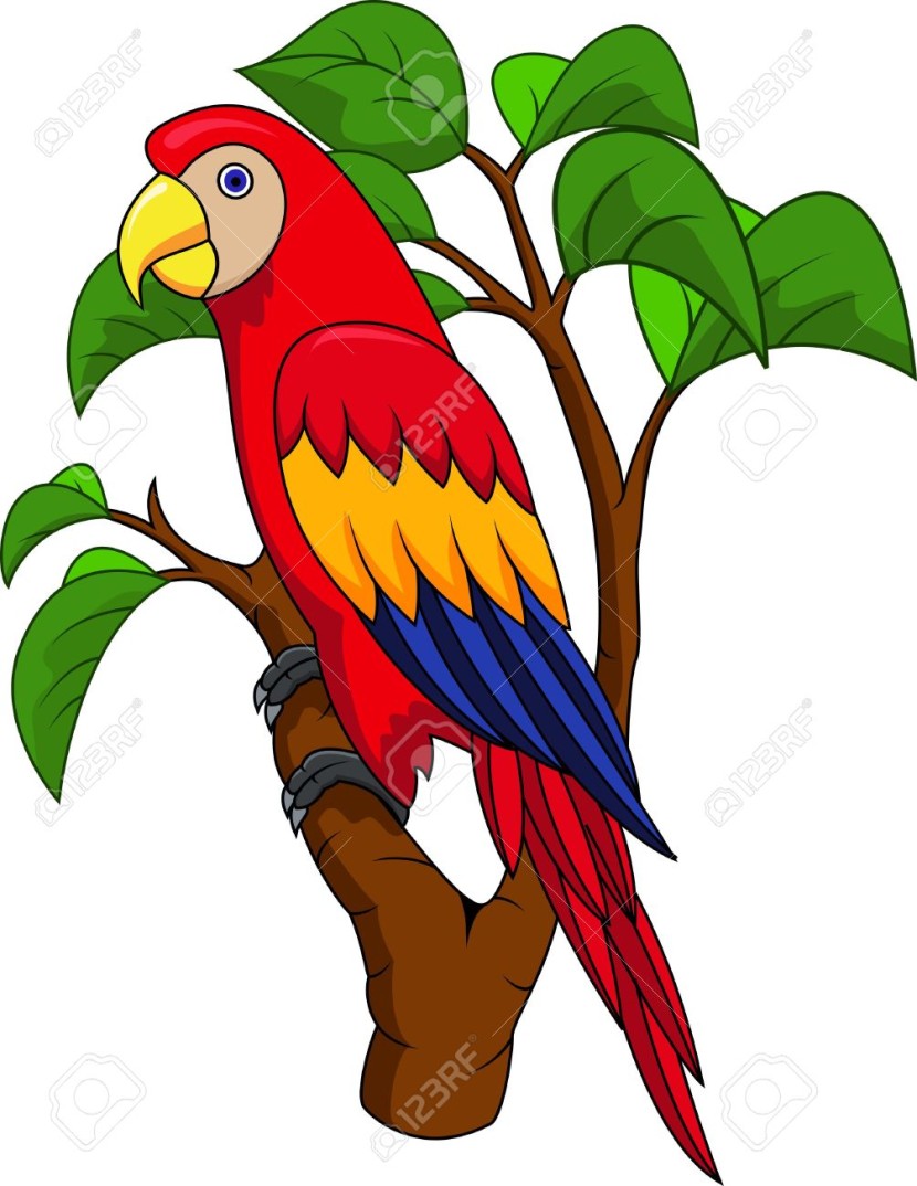 Best Parrot Clipart #16714.