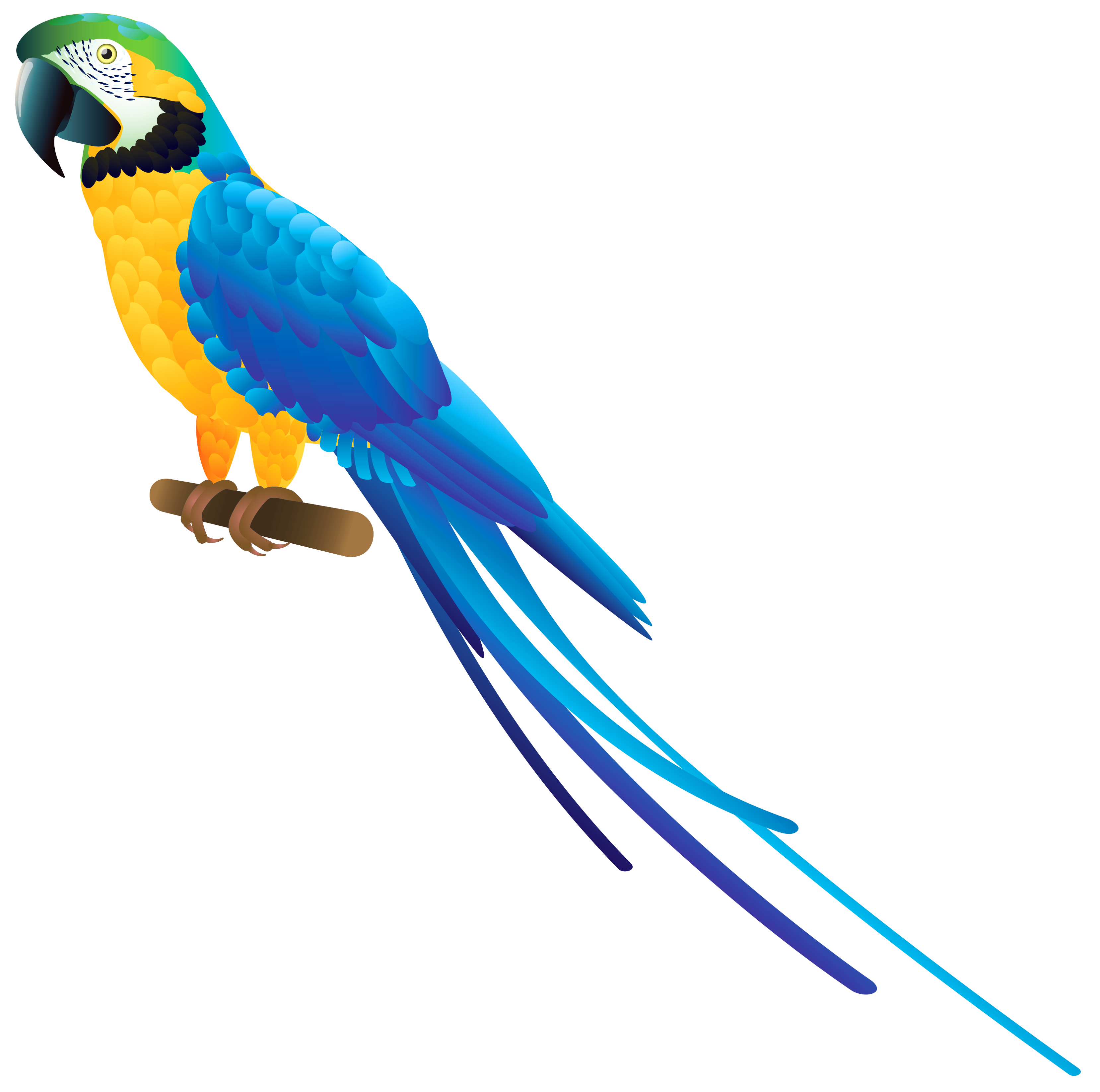 Blue Parrot PNG Clipart.