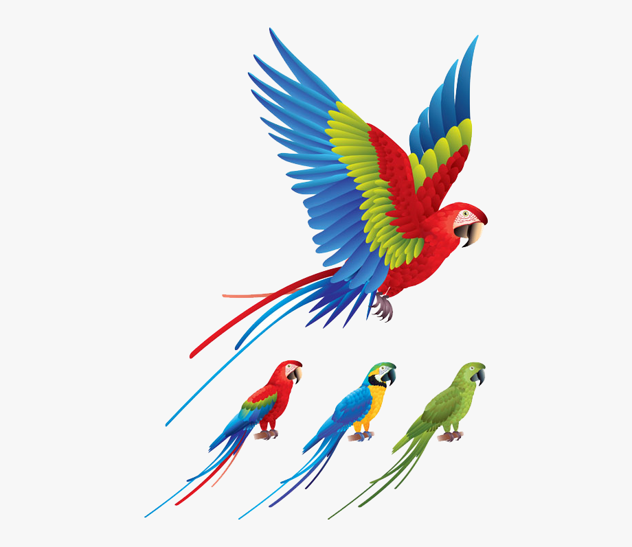 Flying Vector Macaw.