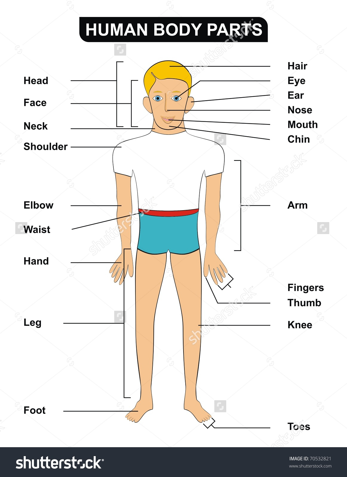 human body parts drawing easy