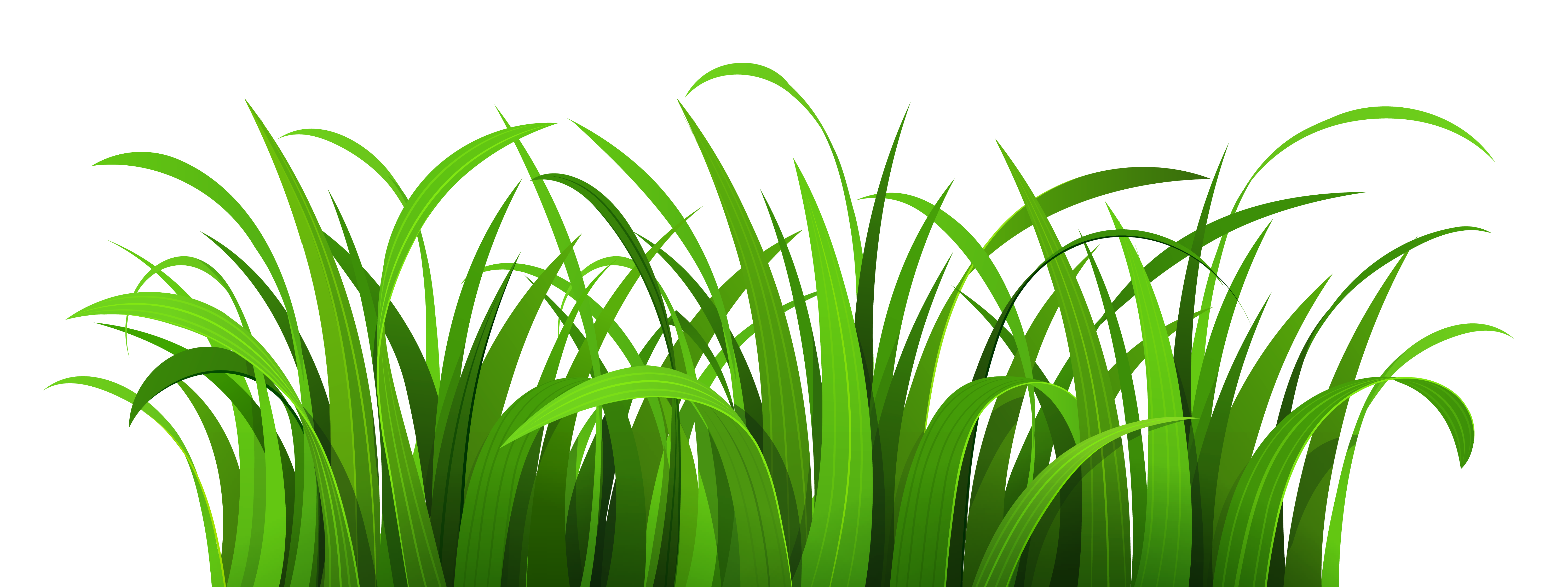 Grass Patch PNG Clipart.
