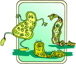 Pathogens In Water Clipart.