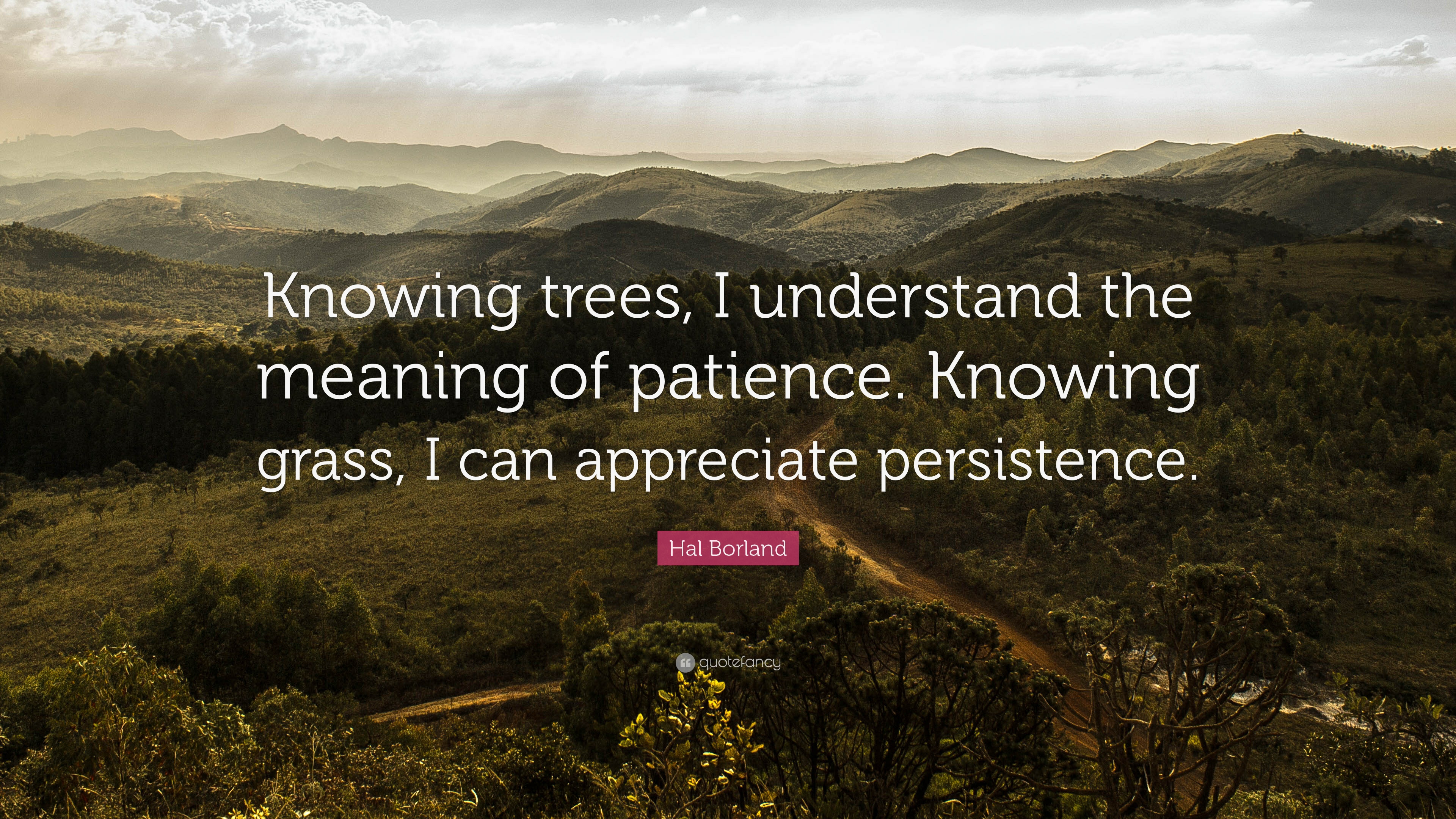 Hal Borland Quote: “Knowing trees, I understand the meaning of.
