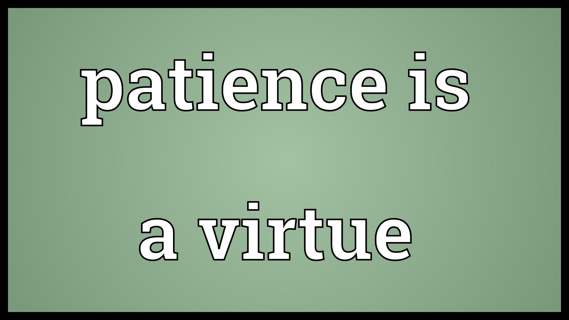 raging-newt-patience-more-than-just-consideration