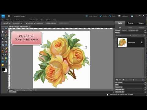 Photoshop Elements: Make a Floral Pattern from Clipart.