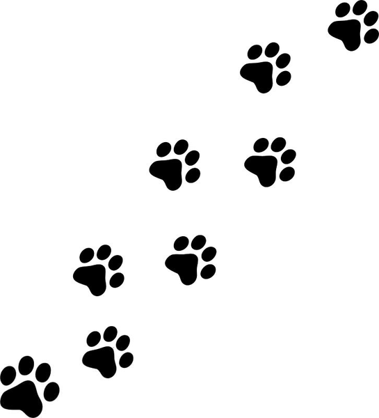 Paw Print Black And White Clipart.