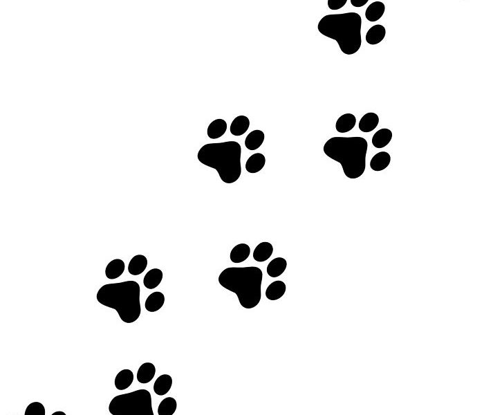 Puppy Paw Print Clipart.