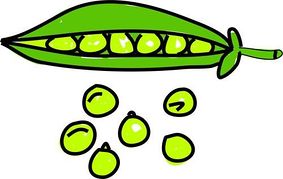 Clipart of a pea.