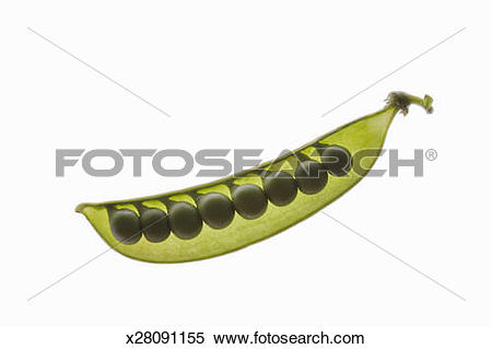 Pea family clipart 20 free Cliparts | Download images on Clipground 2023