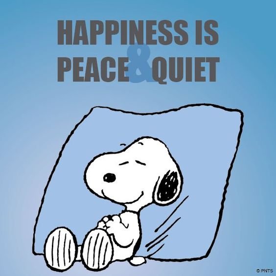 Peace Quiet Clipart 20 Free Cliparts Download Images On Clipground 2024