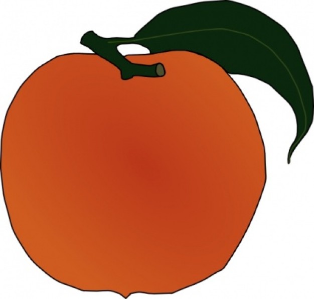 Best Peach Clip Art #16736.