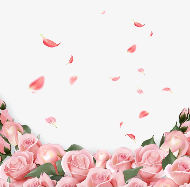 Rose, Background Decoration, Pink Flowers PNG Transparent.