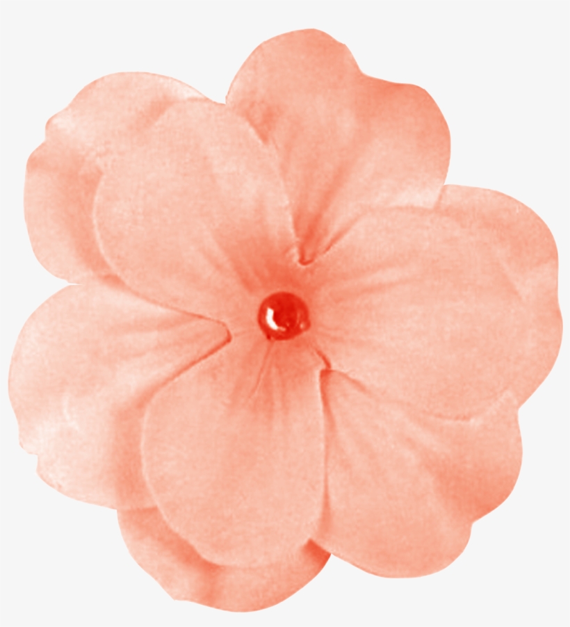 Peach Flowers Png Banner Black And White Stock.