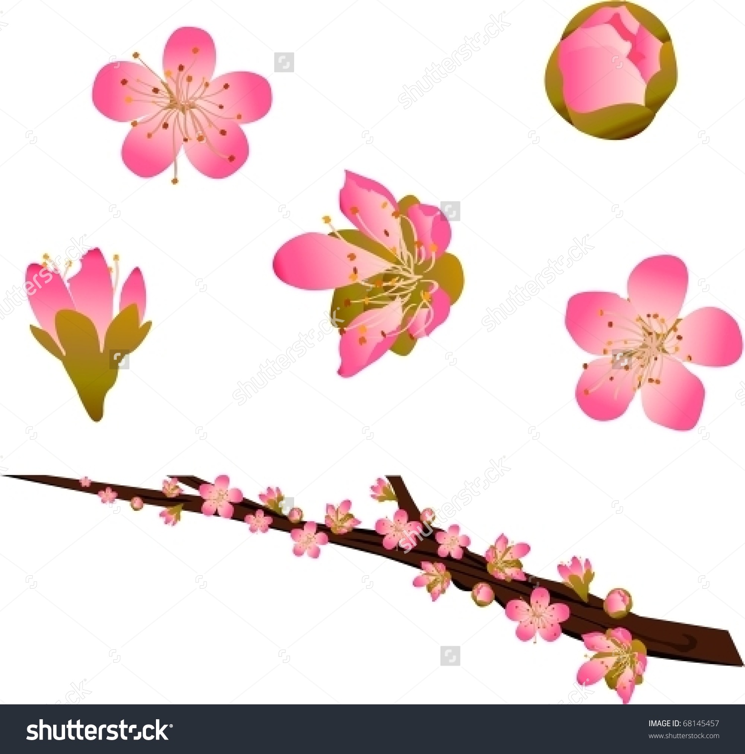 Peach tree blossom clipart 20 free Cliparts | Download images on ...