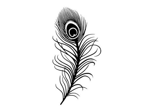 peacock feather clip art black and white 10 free Cliparts | Download ...