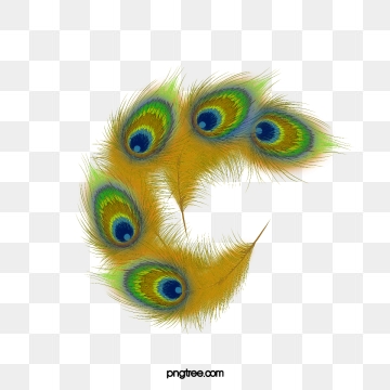 Peacock Feather Png, Vector, PSD, and Clipart With.