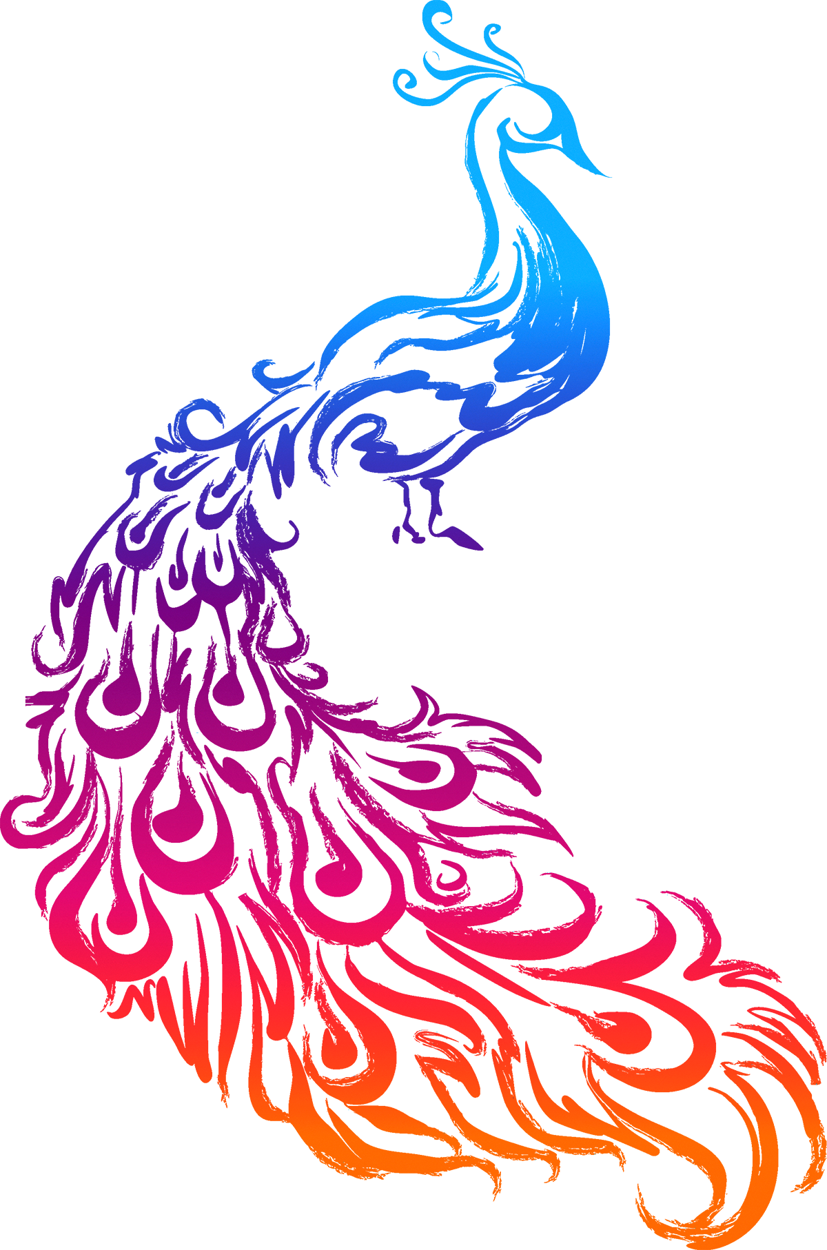 Peafowl Logo Feather Clip art.