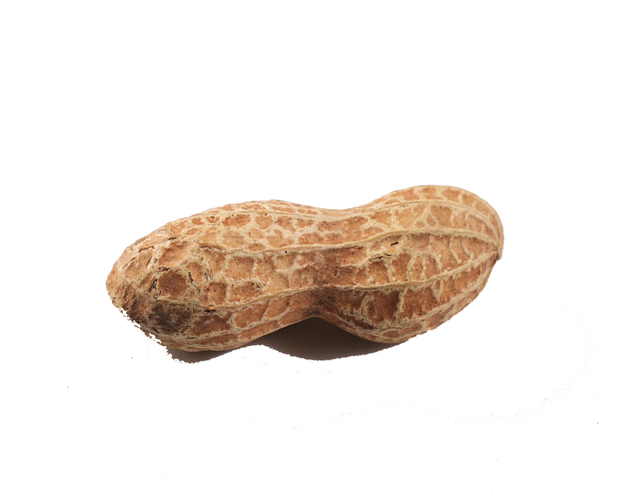 Download Peanut PNG Clipart.