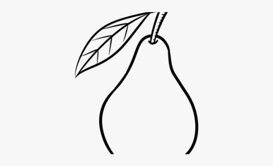 Pear Clipart Line Drawing.