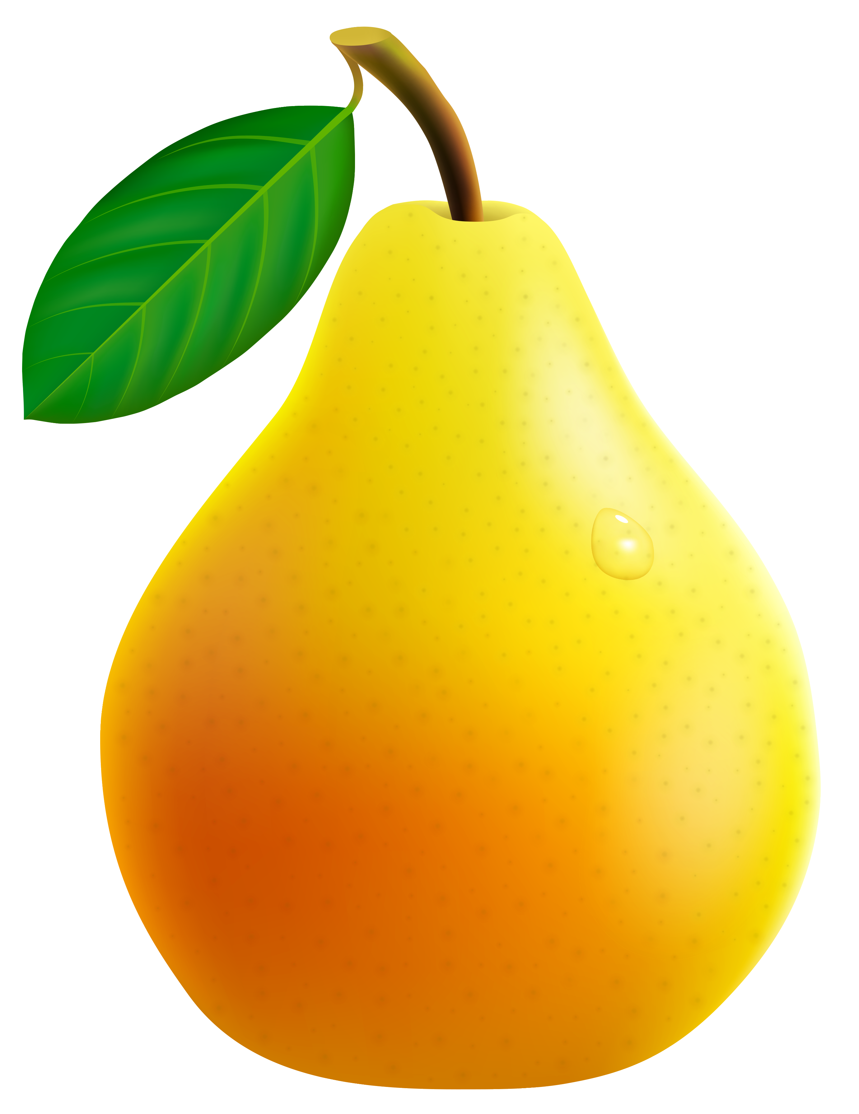 Pear Clip Art.