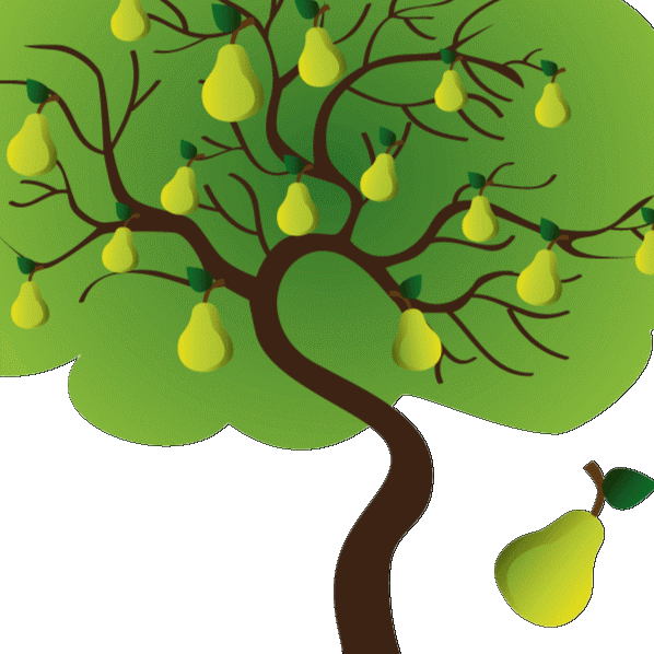 Pear tree clipart 20 free Cliparts | Download images on Clipground 2024