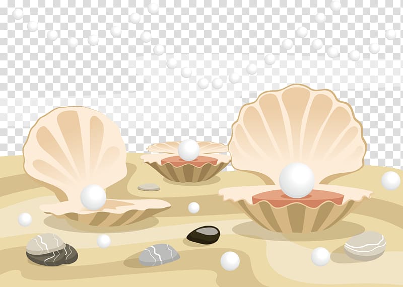 Three white pearls illustration, Oyster Clam Pearl Seashell.