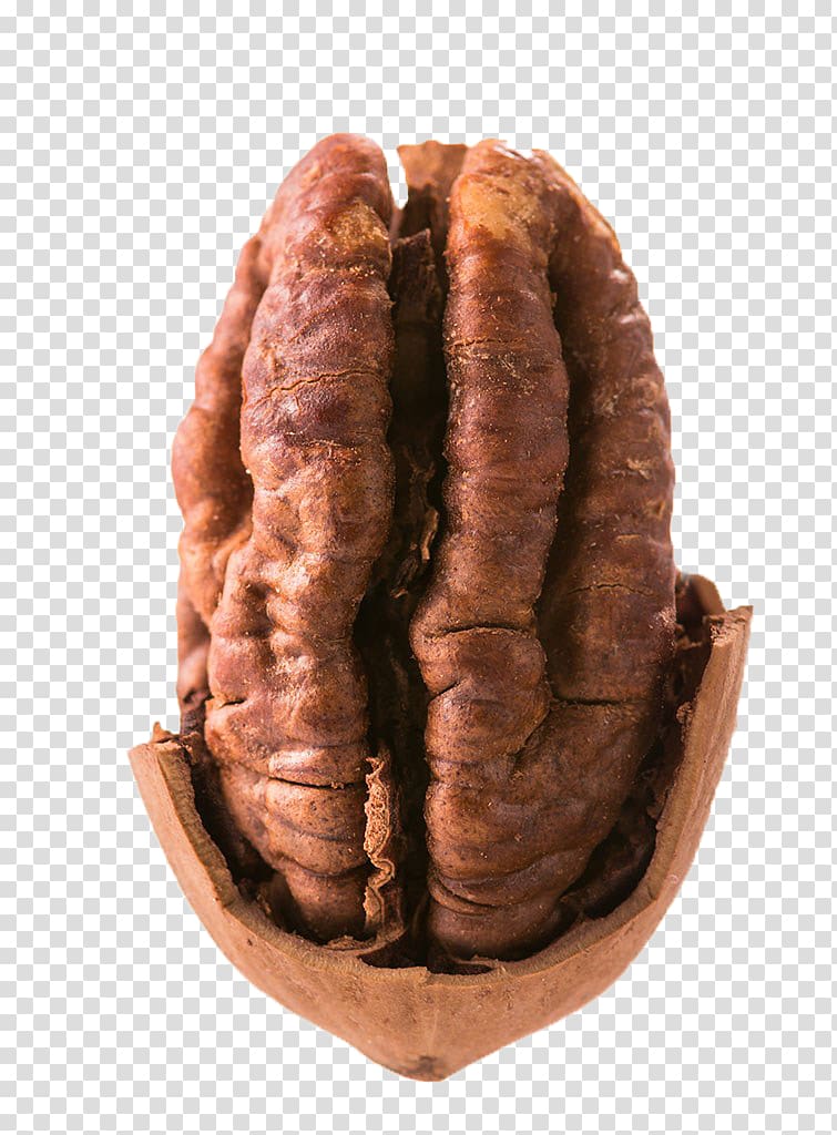 Knackwurst Pecan Mettwurst Kaszanka Boudin, Butter pecan.