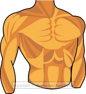 Chest Clipart.