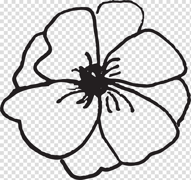 Black And White Flower, Gender Reveal, Film, Peeps, Drawing.