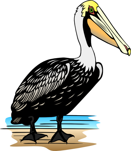 Pelican Clip Art Free.