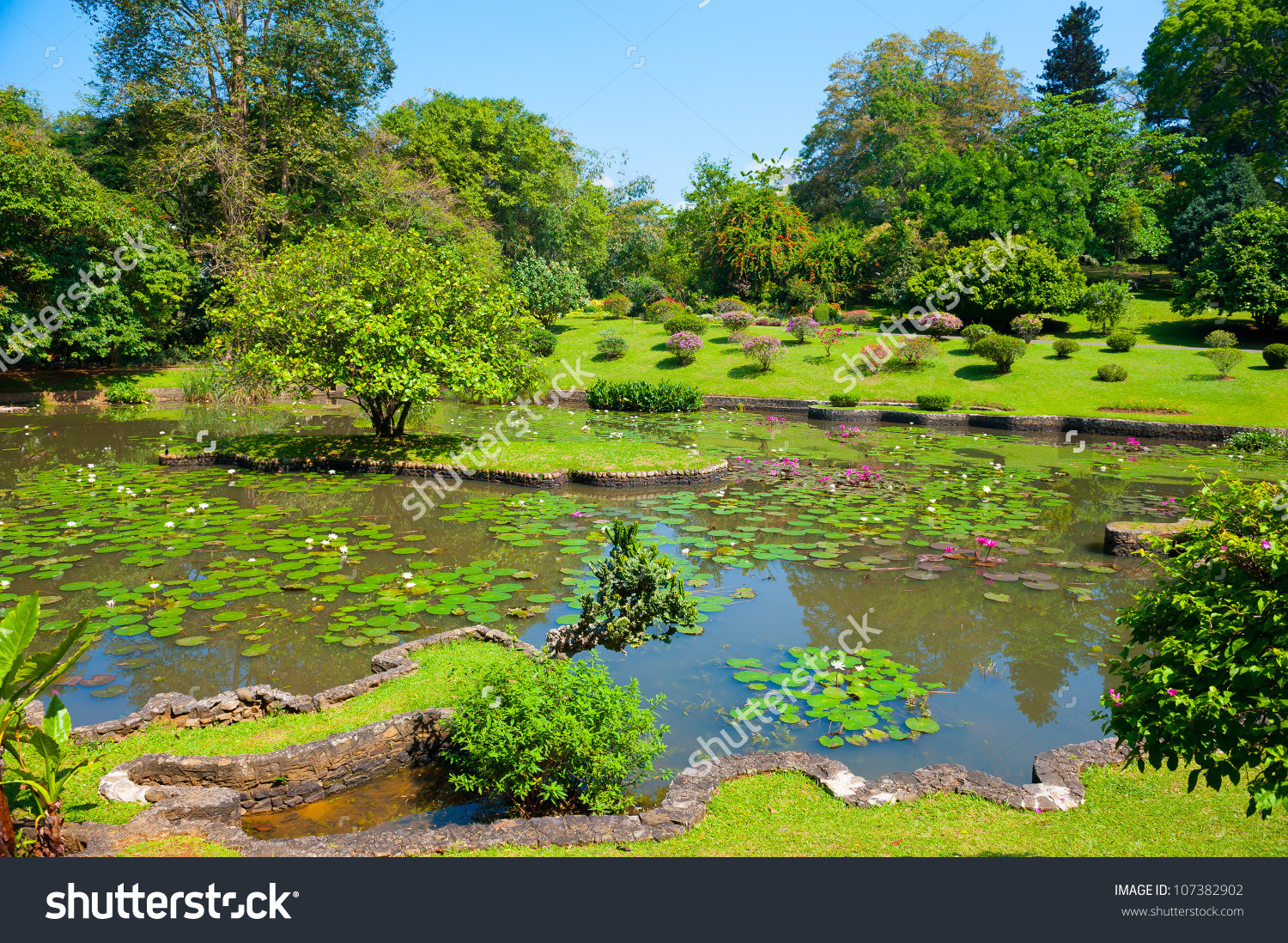 Botanical Garden Landscape In Peradeniya, Kandy, Sri.