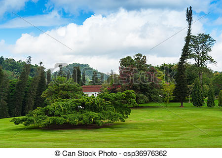 Stock Image of Botanical Garden of Peradeniya, Kandy,