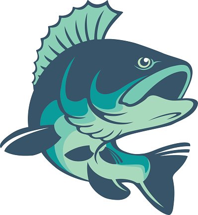 perch fish clipart 10 free Cliparts | Download images on Clipground 2022