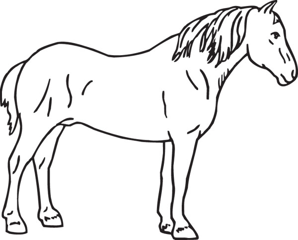 Percheron Horse Coloring Page Coloring Pages