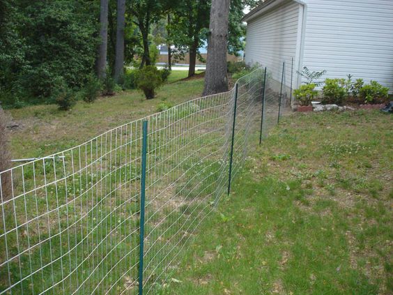 Clipart Backyard With Dog Fence Perimeter.