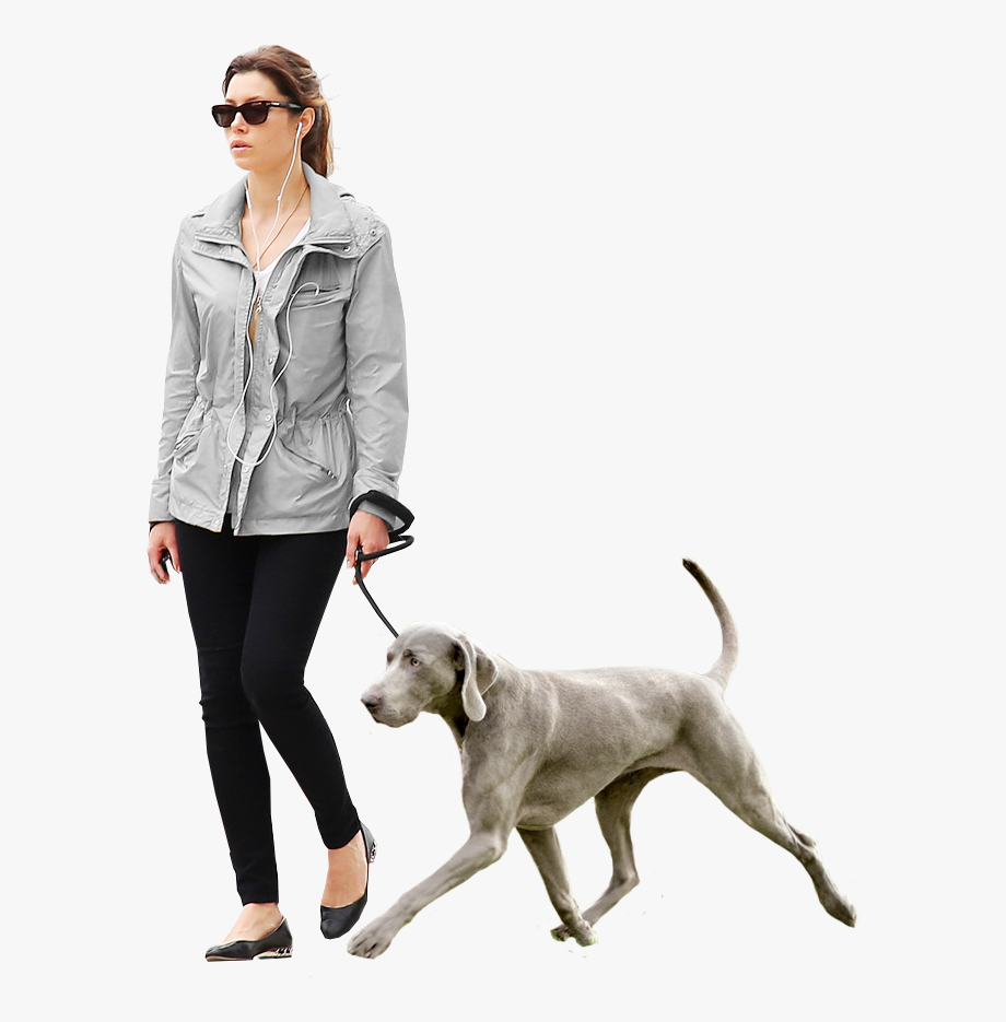 Person Walking Dog Png.