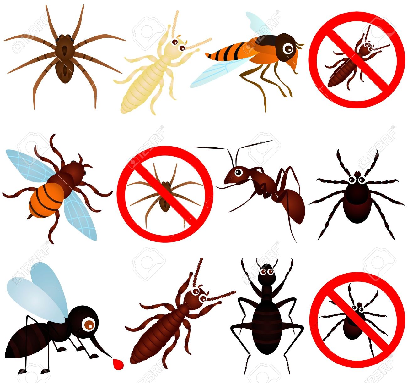A Collection Of Bugs (mosquito, Termite, Ant, Etc) Royalty Free.