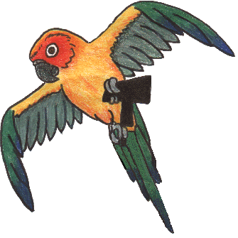 Parrot Bird Clip Art.