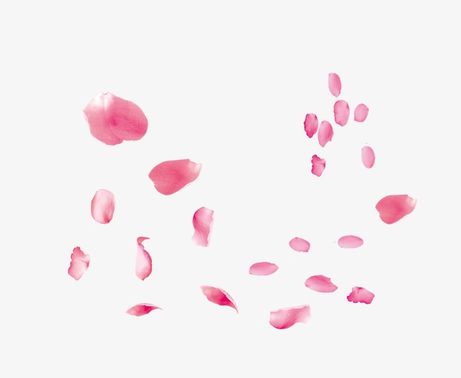 Petals Floating, Peach Petals, Festival, Flowers PNG Image.