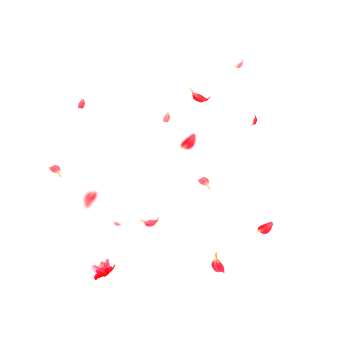 petals png 10 free Cliparts | Download images on Clipground 2021