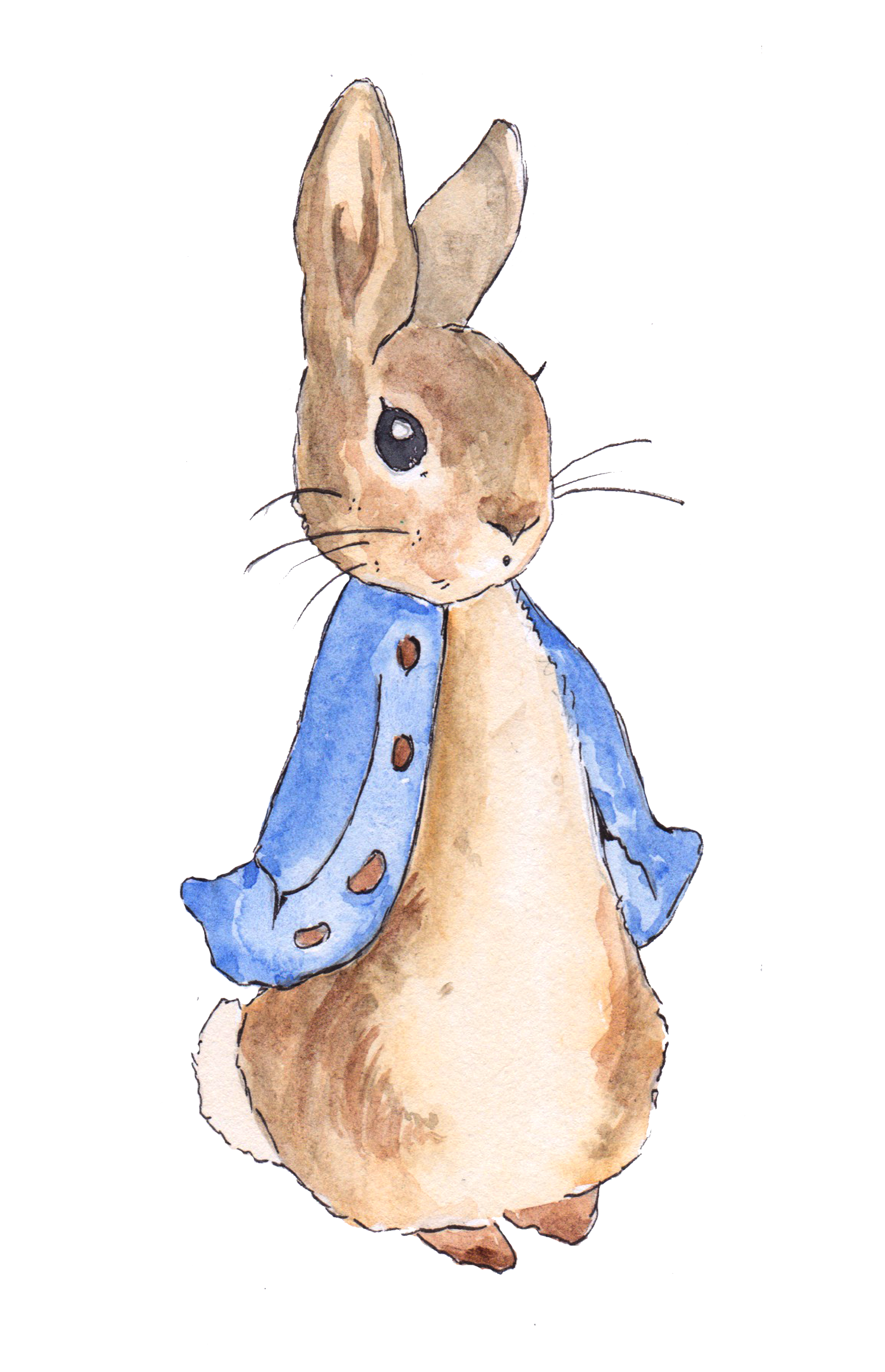 Download peter rabbit clip art free 10 free Cliparts | Download ...