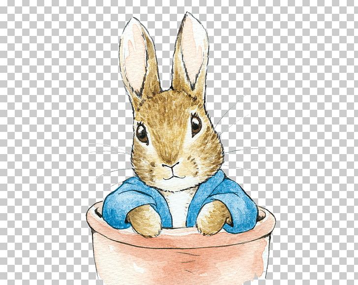 Domestic Rabbit The Tale Of Peter Rabbit Easter Bunny PNG.