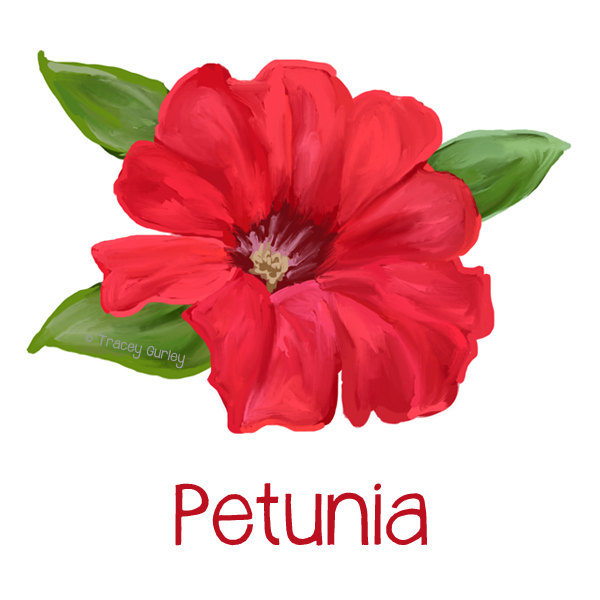 Petunia painting.